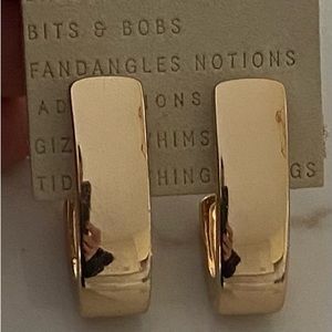 Anthropologie earrings